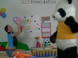 Began na hrať s a veľký peter hračka panda