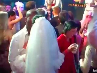 Marvellous gedraaid op brides zuigen groot hanen in publiek